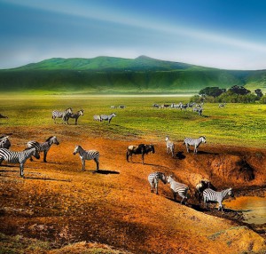 tanzanie